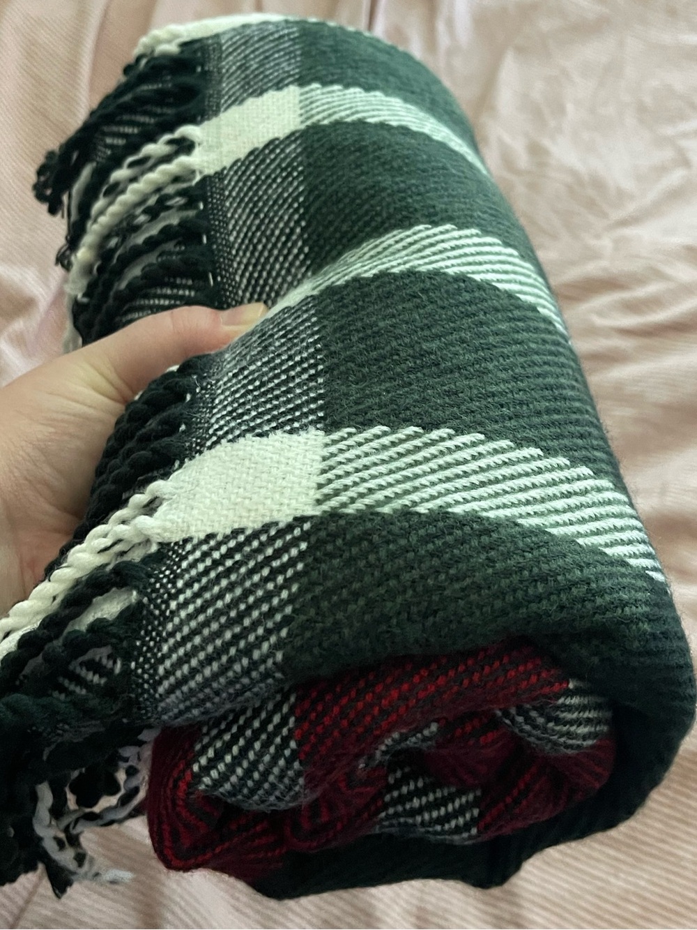 Hearth & Hand Black, White and Red Plaid Fringe Throw